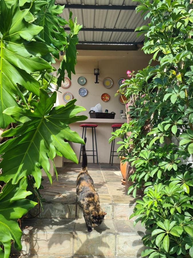 Comfy Home-Tropical Garden & 5 Min Walk To Beach Tamarin Dış mekan fotoğraf